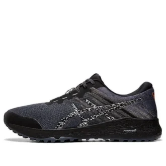 Alpine XT 2 « Carrier Grey Silver »