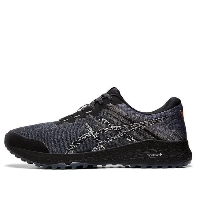 Alpine XT 2 « Carrier Grey Silver »