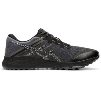 Alpine XT 2 « Carrier Grey Silver »