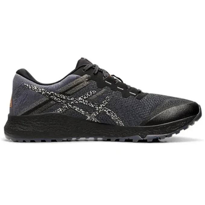 Alpine XT 2 « Carrier Grey Silver »