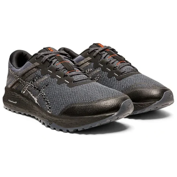 Alpine XT 2 « Carrier Grey Silver »