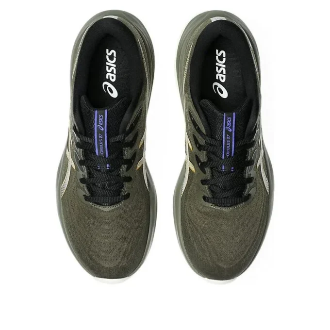 Asics Gel-Cumulus 27 GTX « Brown Stone Whisper Green »