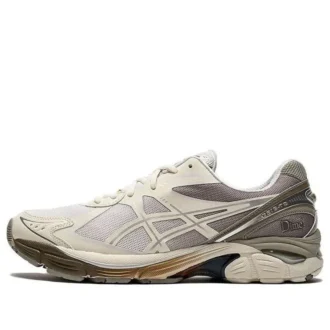 Asics x DIME GT-2160 « Arctic Wolf »