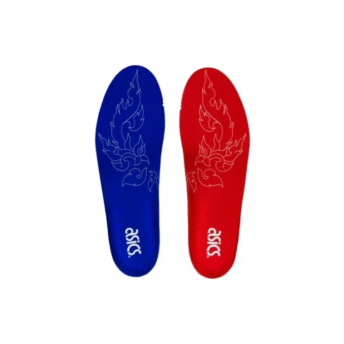 Carnival x GEL DS OG « Muay Thai »