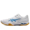 Court Control FF 3 « Blanc Directoire Bleu »