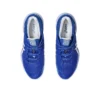 Court FF 3 Novak « Blue White »
