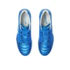 DS Light X-FLY 5 « Directoire Blue White »