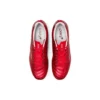 DS Light X-Fly Pro « Classic Red Beet Juice »