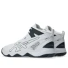 Dunkshot MB 10 « White Carrier Grey »