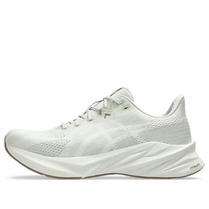 Dynablast 5 « Lake Grey White Sage »