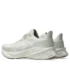 Dynablast 5 « Lake Grey White Sage »