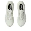 Dynablast 5 « Lake Grey White Sage »