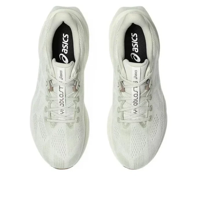 Dynablast 5 « Lake Grey White Sage »