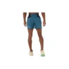 Fujitrail All Over Print 5In Shorts « Blue »
