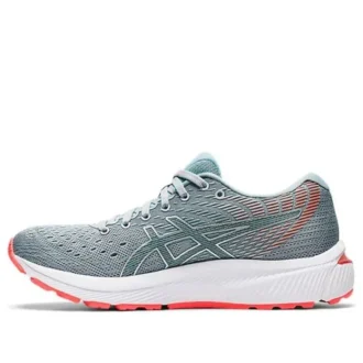 Gel-Cumulus 22 « Piedmont Grey Steel »