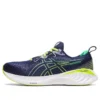 Gel-Cumulus 25 « Midnight Cilantro »