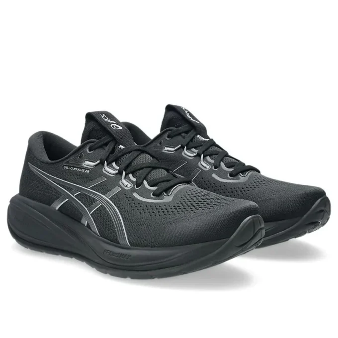 Gel-Cumulus 28 « Noir/Gris Carrier »