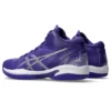 Gel-Hoop V16 S « Purple Grey »