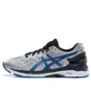 Gel-Kayano 23 2E « Silver Blue »