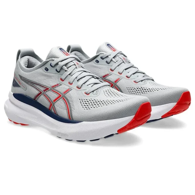 Gel-Kayano 31 « Piedmont Grey Fiery Red »