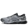 Gel-Nimbus 21 Platinum « Sheet Rock Silver »