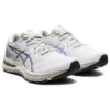Gel-Nimbus 23 « Platinum »