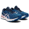 Gel-Nimbus 24 « French Blue Barely Rose »