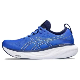 Gel-Nimbus 25 « Illusion Blue Pure Silver »