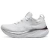 Gel-Nimbus 26 Platinum « Real White Pure Silver »