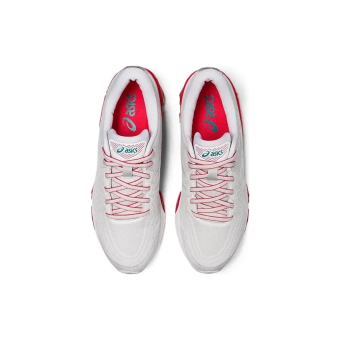 Gel-Quantum 360 VII Winterised « Grey Red »