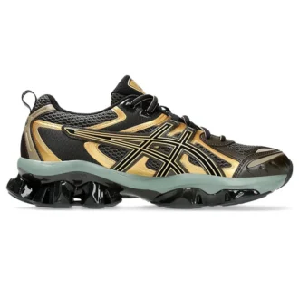 Gel-Quantum Kinetic « Dark Sepia »