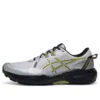 GEL-Venture 11 « Gris Jaune »