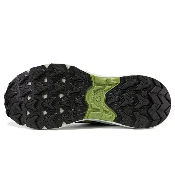 GEL-Venture 9 « Rain Forest Cactus »