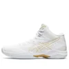 Gelhoop V12 « White »