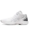 Gelhoop V14 « White Silver »