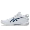 Gelhoop V17 S « White Mako Blue »