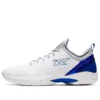 Glide Nova FF 2 « Blanc Bleu »