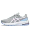 GT-1000 12 « Gris Piémont Cosmos »