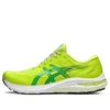 GT-2000 11 « Lime Zest »