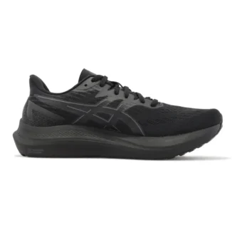 GT-2000 12 2E « Black »