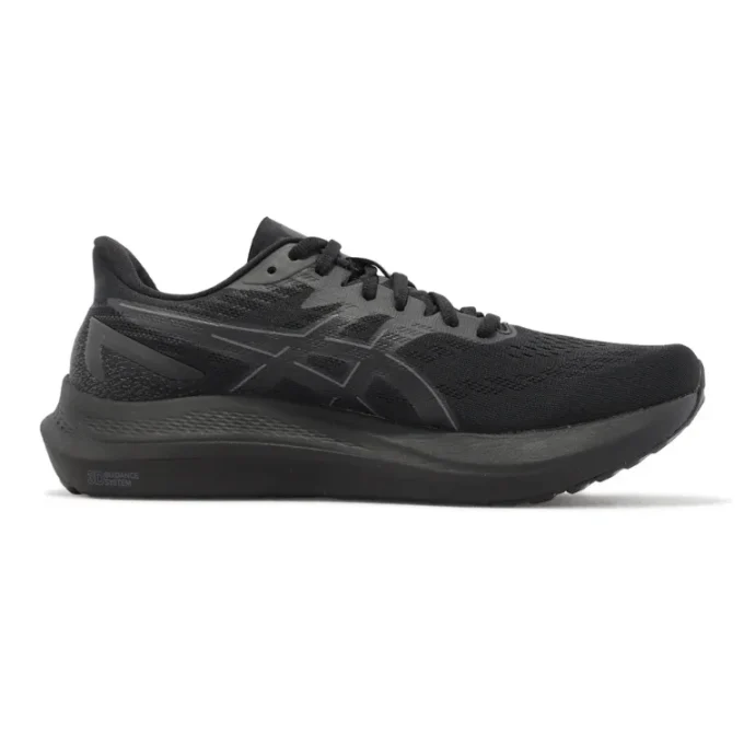 GT-2000 12 2E « Black »