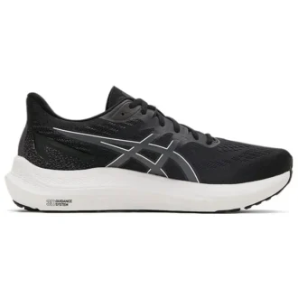 GT-2000 12 « Black Carrier Grey »