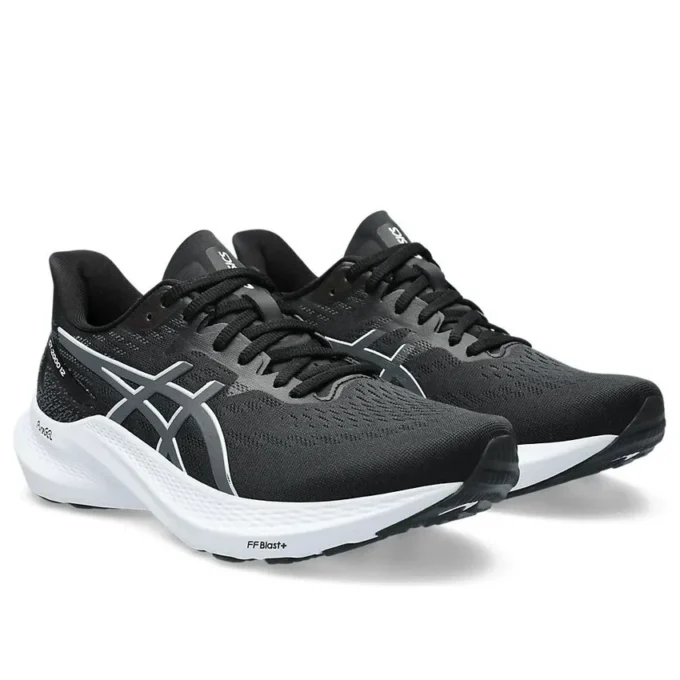 GT-2000 12 « Black Carrier Grey »