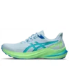 GT-2000 12 Lite-Show « Sea Glass »