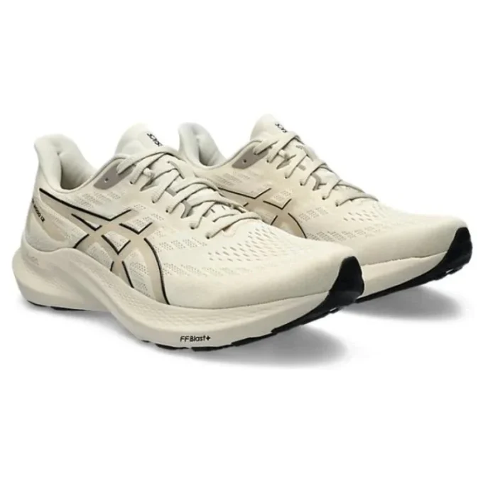 GT-2000 12 « Oatmeal »