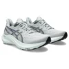 GT-2000 12 « Piedmont Grey »