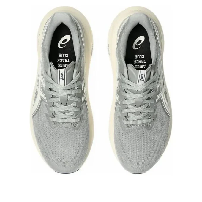 GT-2000 13 ATC « Grey Cream »