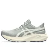 GT-2000 13 ATC « Seal Grey Brich »