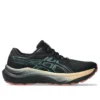 GT-2000 14 Gore-Tex « Black Misty Pine »