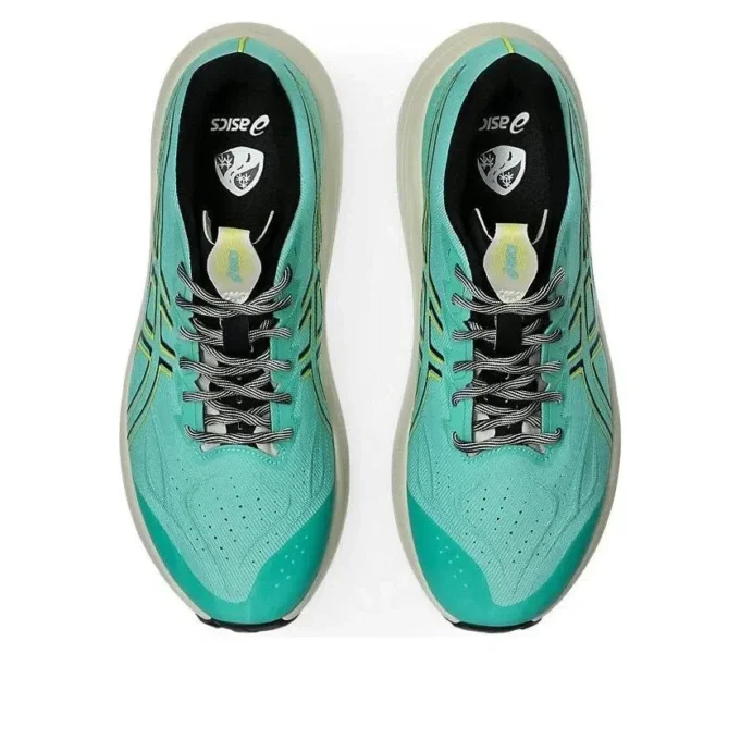 GT-2000 14 TR « Aurora Green Cacti »